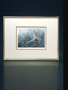 Vintage Don Li- Leger Short Eared Owl Framed Print 1986 Natural Art Artist BC